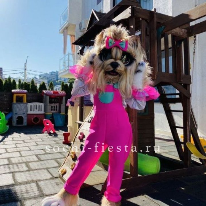 Аниматор Гламурная Собака в Братске