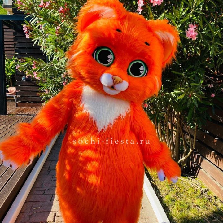 Аниматор Котик в Братске