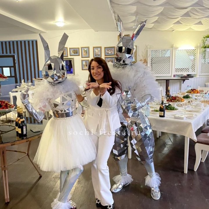 Аниматор Зеркальный заяц в Братске