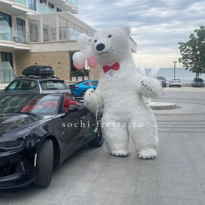 Аниматор Белый Медведь в Братске