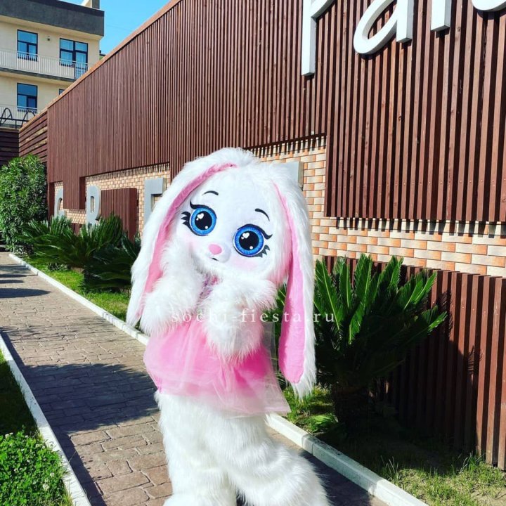 Аниматор Зайка в Братске