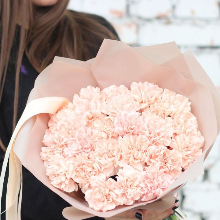 Диантусы №2 в Братске