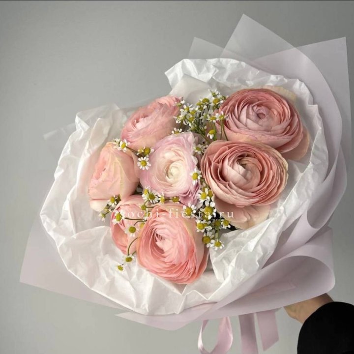 Ранункулюсы с ромашками в Братске