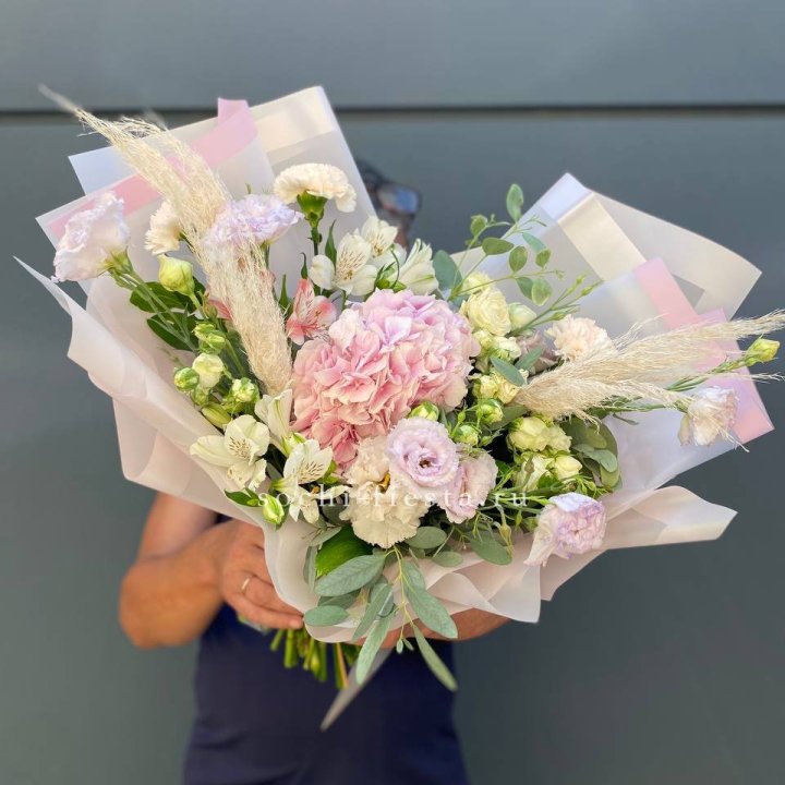 Гортензия "Пинк флоид" в Братске