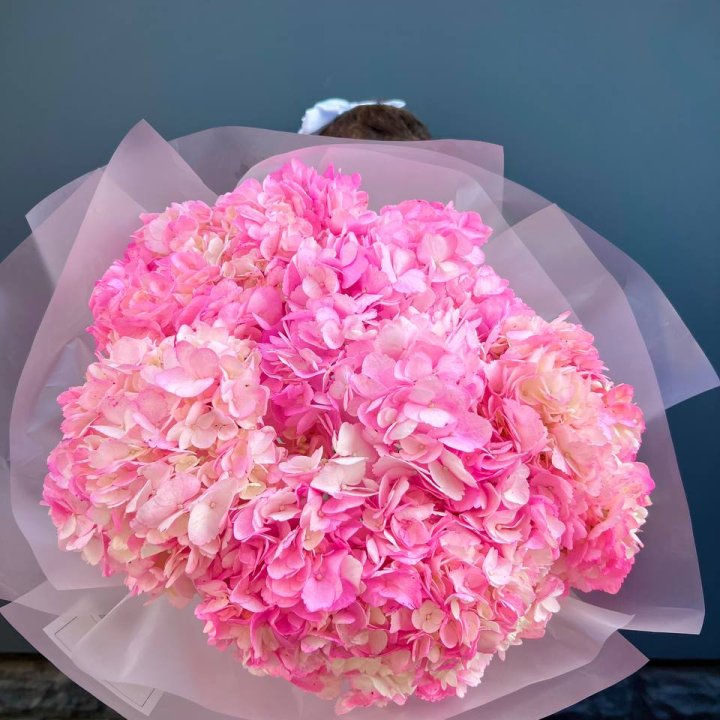 9 ярко розовых гортензий в Братске