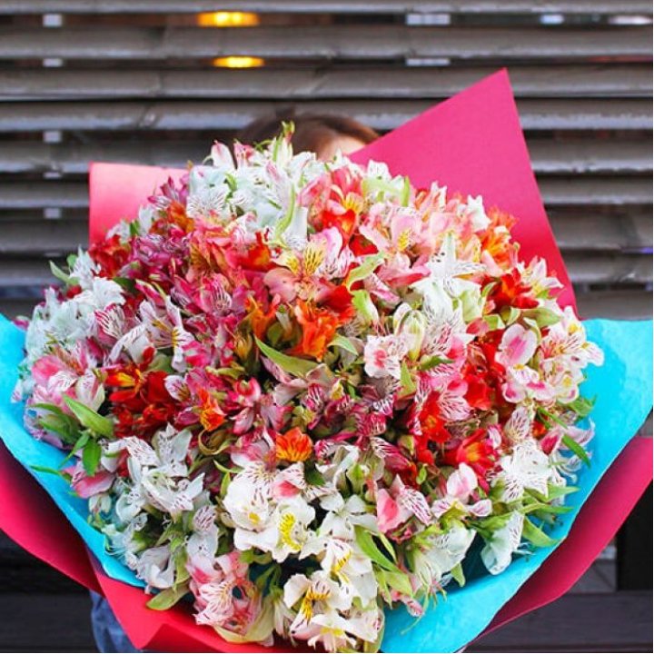 101 альстромерия в Братске