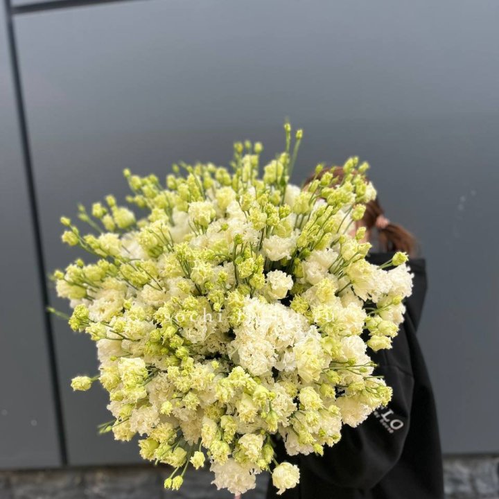 51 белая эустома в Братске