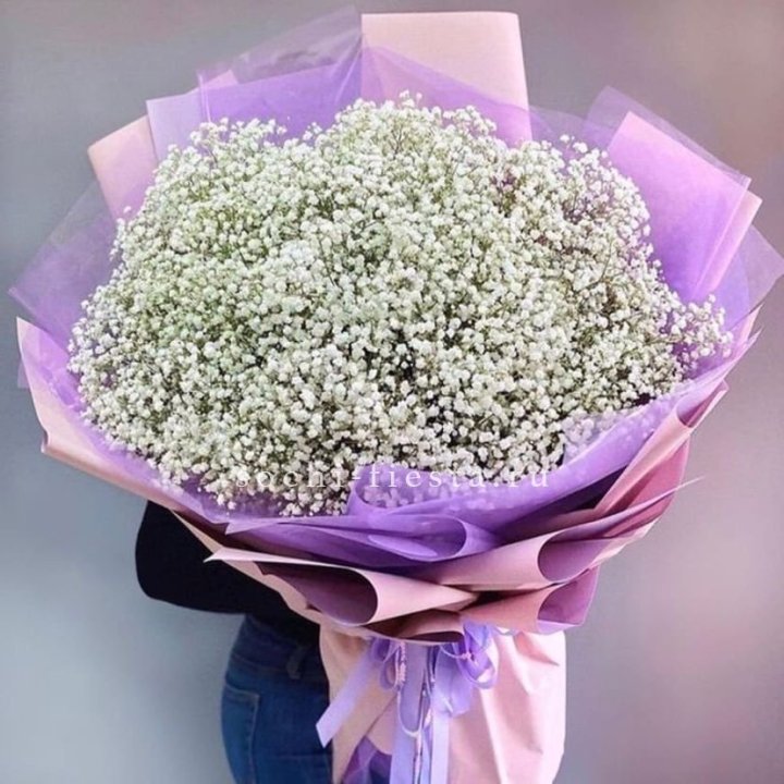 Облако белых гипсофил в Братске