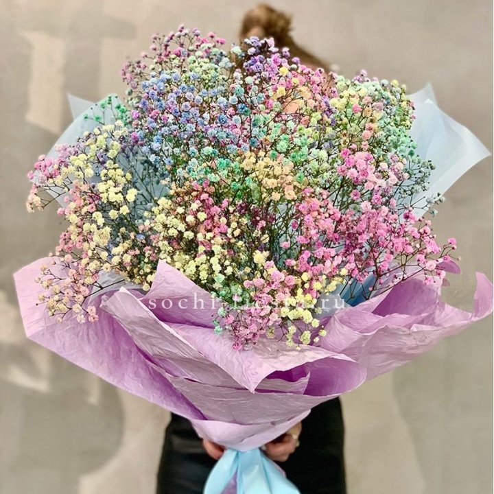 Радужные гипсофилы №2 в Братске