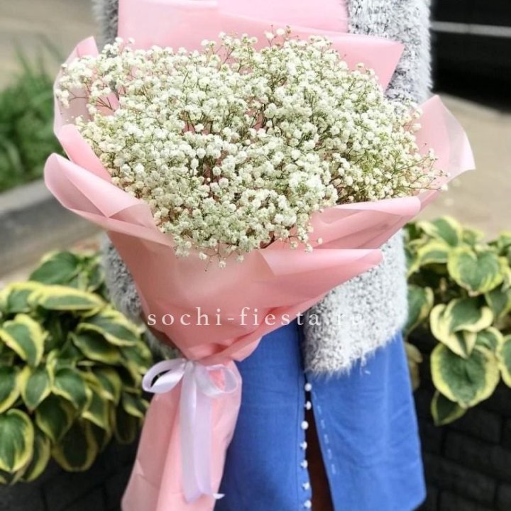 Белоснежные гипсофилы в Братске