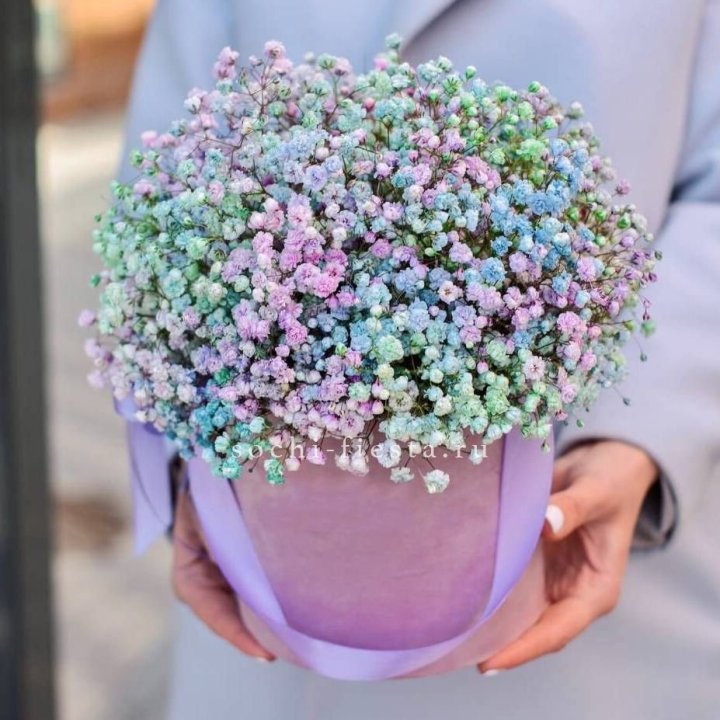 Гипсофилы в шляпной коробке "Кандилайт" в Братске