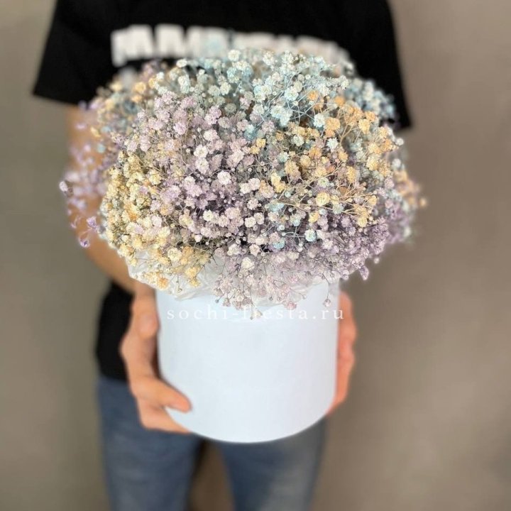 9 Радужных гипсофил в шляпной коробке в Братске