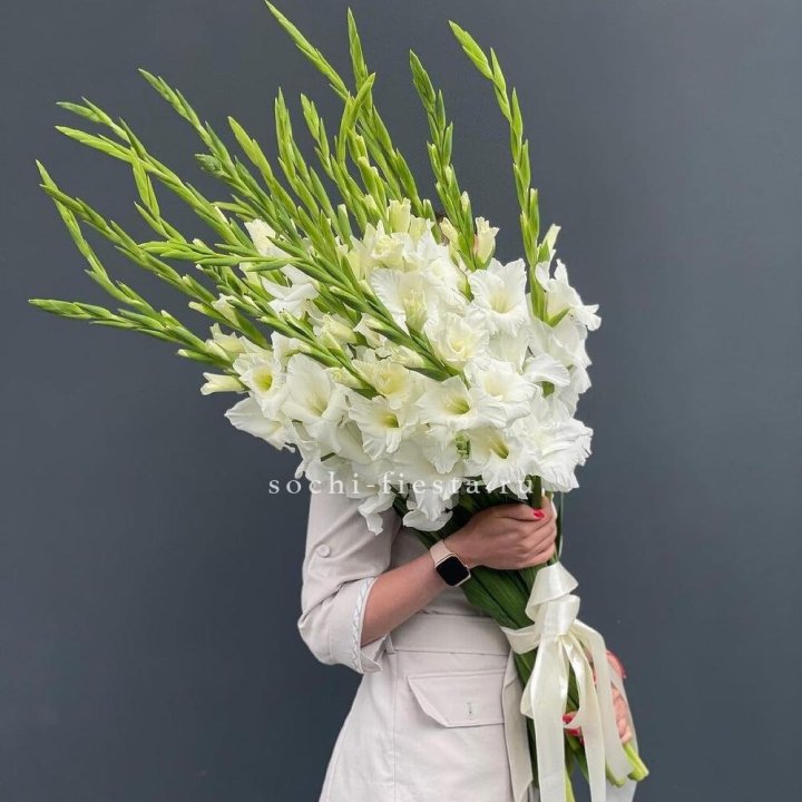 19 белых гладиолусов под ленту в Братске