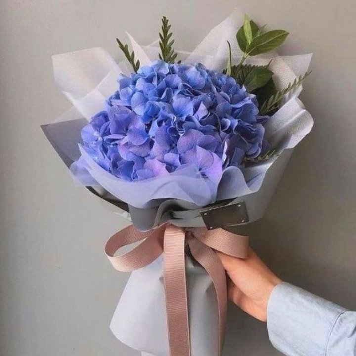 Гортензия голубая в Братске