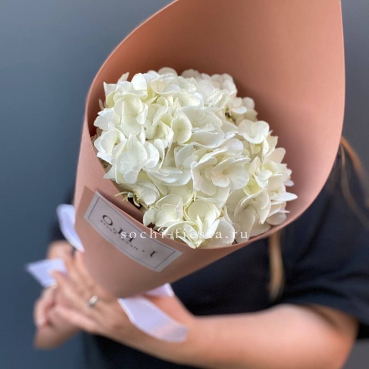 Гортензия в конверте в Братске