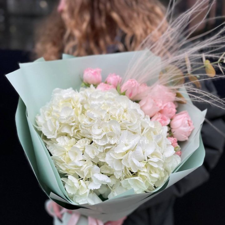 Гортензия "Жасмин" в Братске