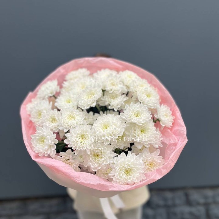  5 хризантем  в Братске