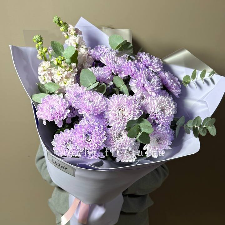 Дуо хризантема и маттиола в Братске