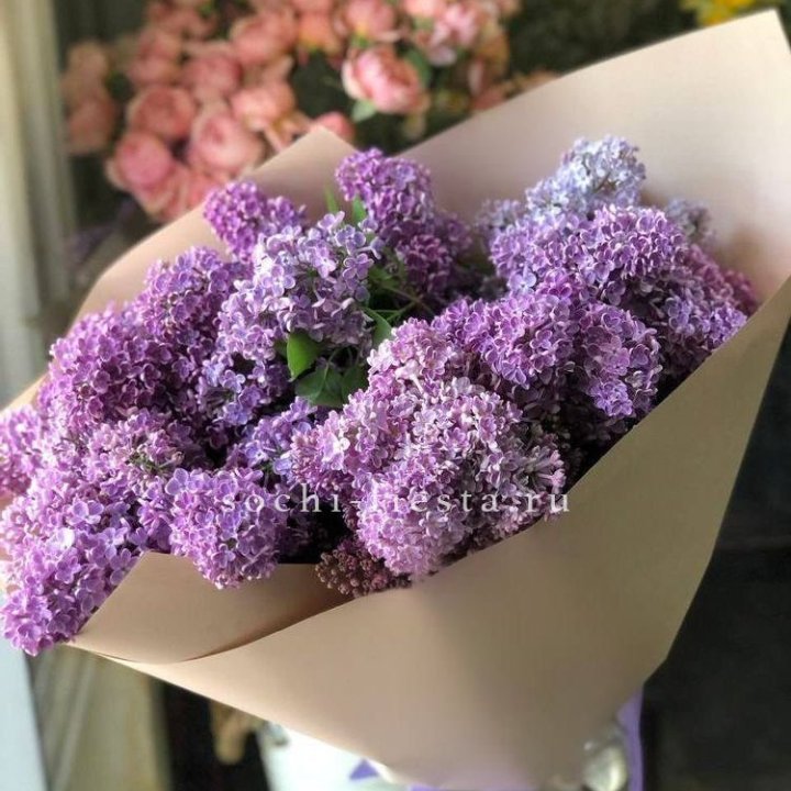 Букет сирени №2 в Братске