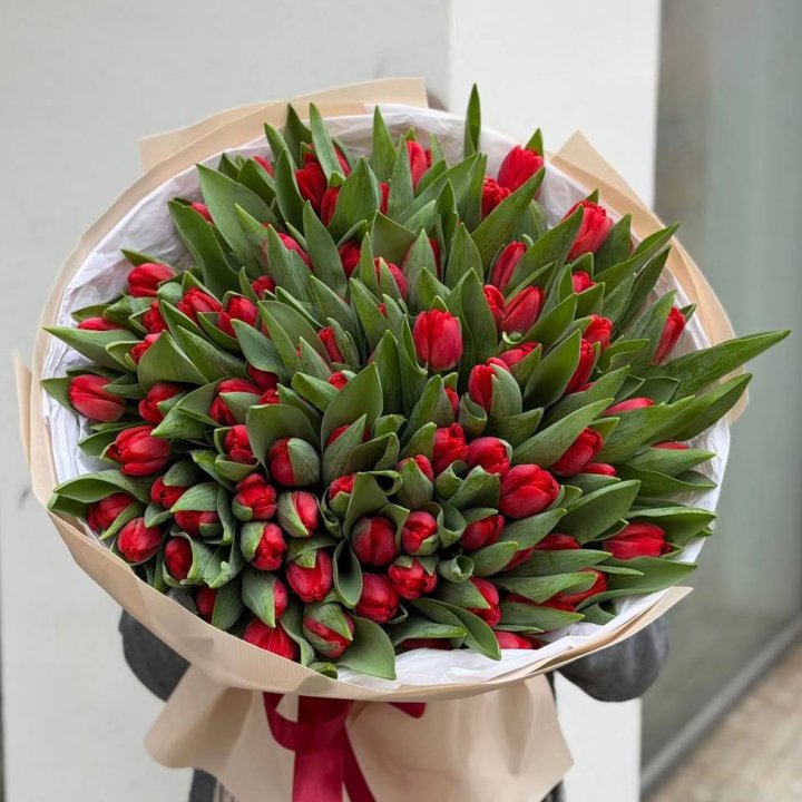 101 красный тюльпан в Братске