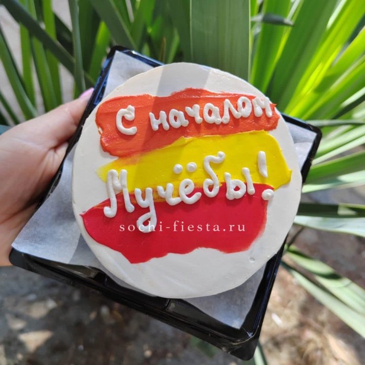 Бенто-торт "С началом учёбы"" в Братске