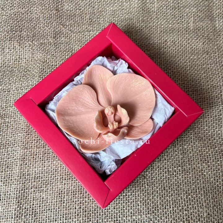 Бельгийский шоколад Орхидея в Братске