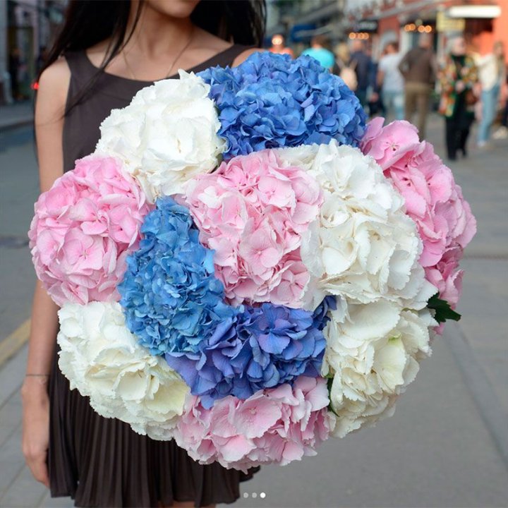 Букет гортензий "Инь-Янь" в Братске