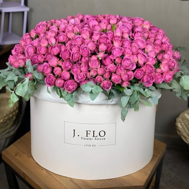 Цилиндр с Мисти Бабблс  в Братске