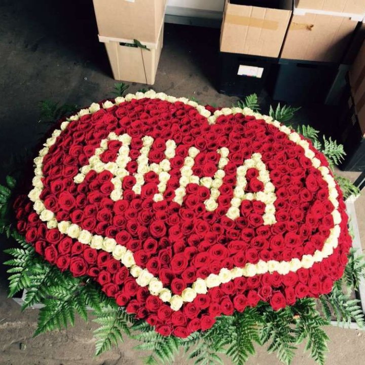 555 роз с именем в Братске