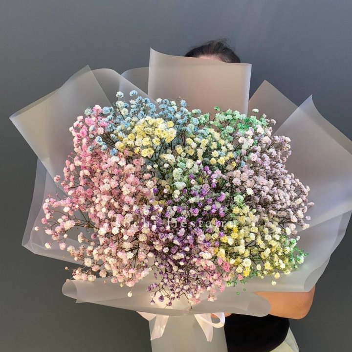 Радужные гипсофилы  в Братске