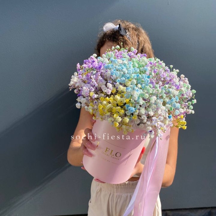 Радужные гипсофилы в шляпной коробке в Братске