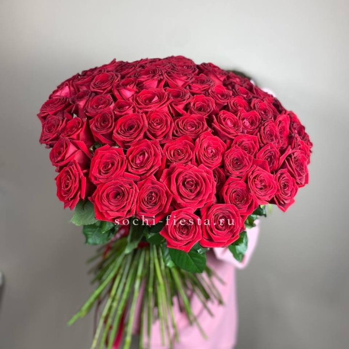 101  голландская роза  в Братске