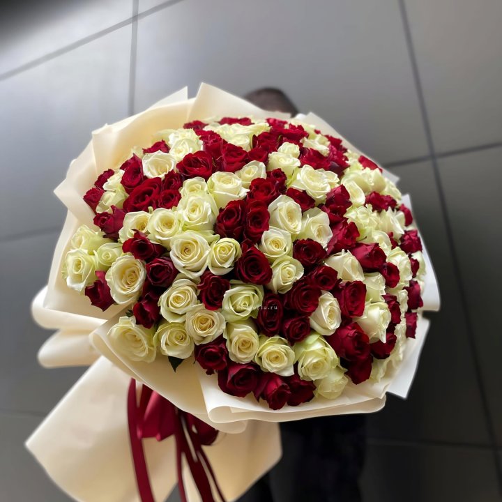 101 высокая импортная роза  в Братске