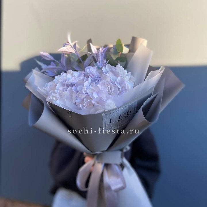 Гортензия "Виолета" в Братске