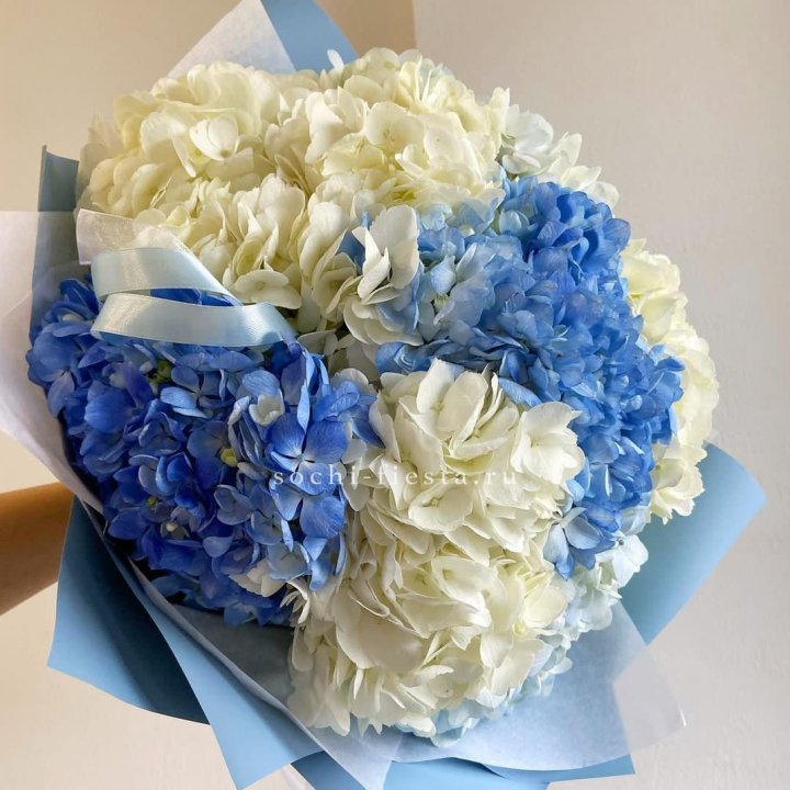 Букет гортензий "Голубая лаза" в Братске