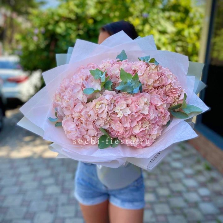 5 розовых гортензий  в Братске