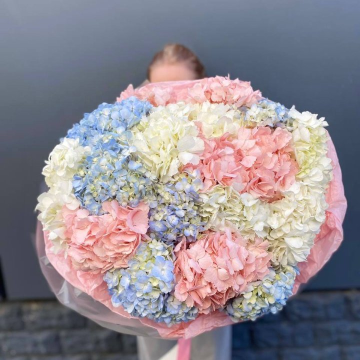 19 гортензий микс в Братске