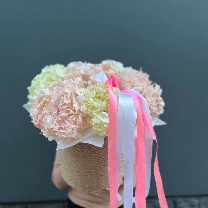 7 гортензий в кашпо в Братске