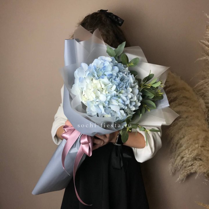 Гортензия Уно в Братске