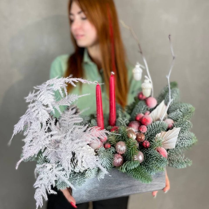 Бокс красный с нобилисом в Братске