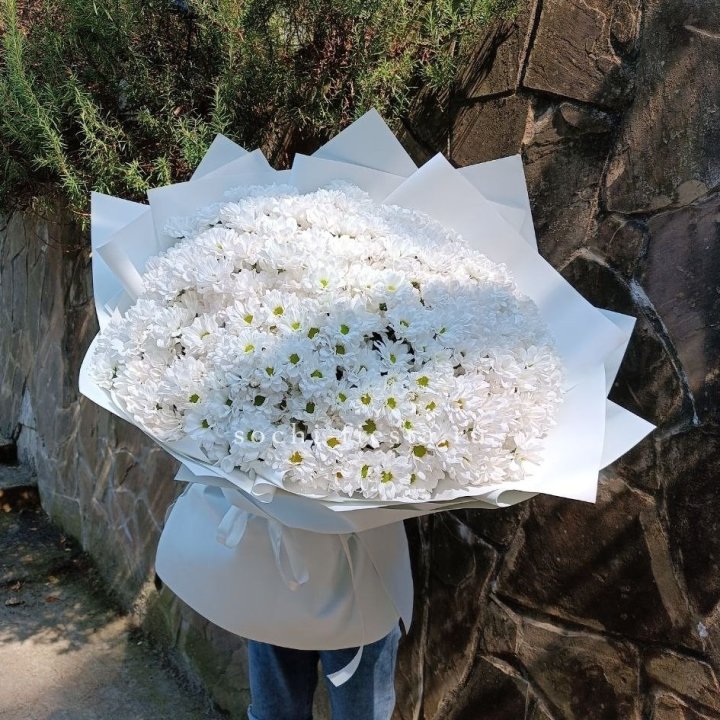 Облако хризантем №2 в Братске