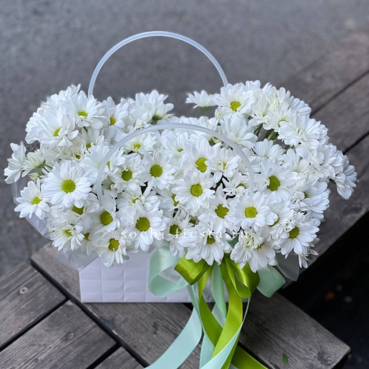 Сумка с хризантемами ромашками в Братске