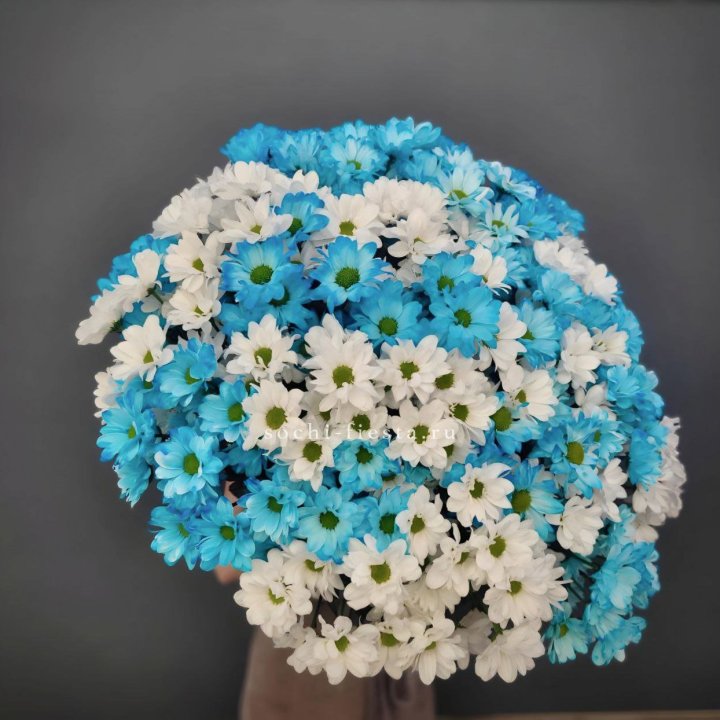  Букет хризантем микс в Братске