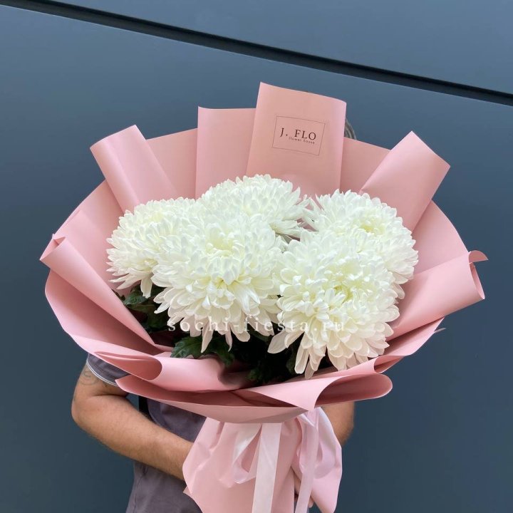 Профитроли №2 в Братске