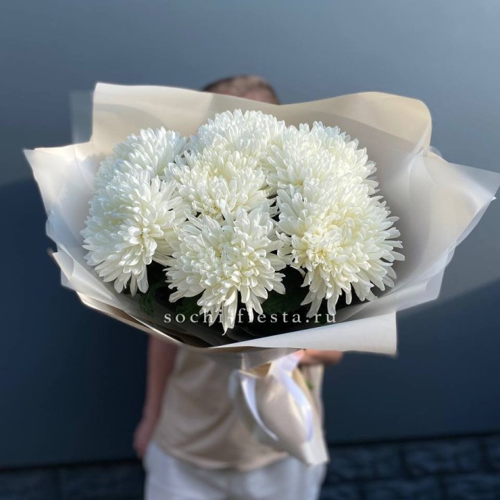 Профитроли в Братске