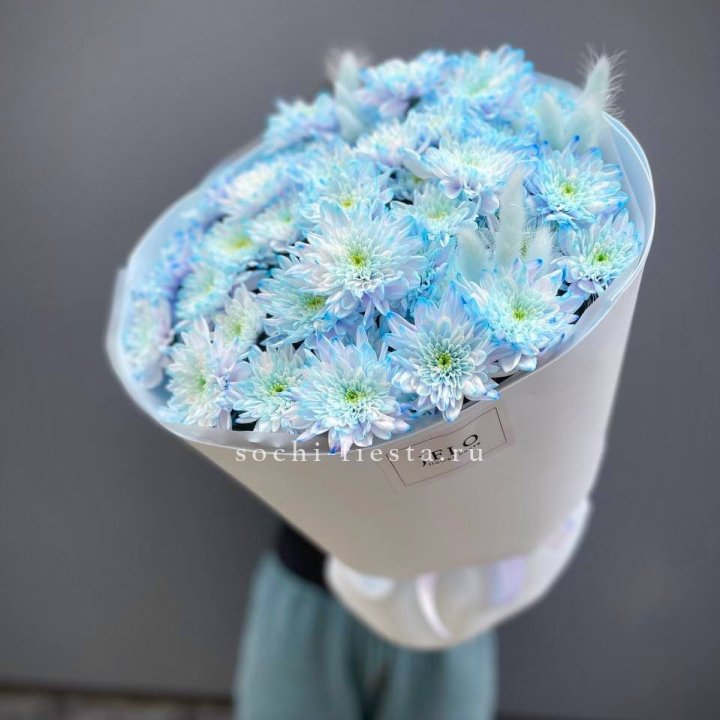  Букет нежно-голубых хризантем  в Братске