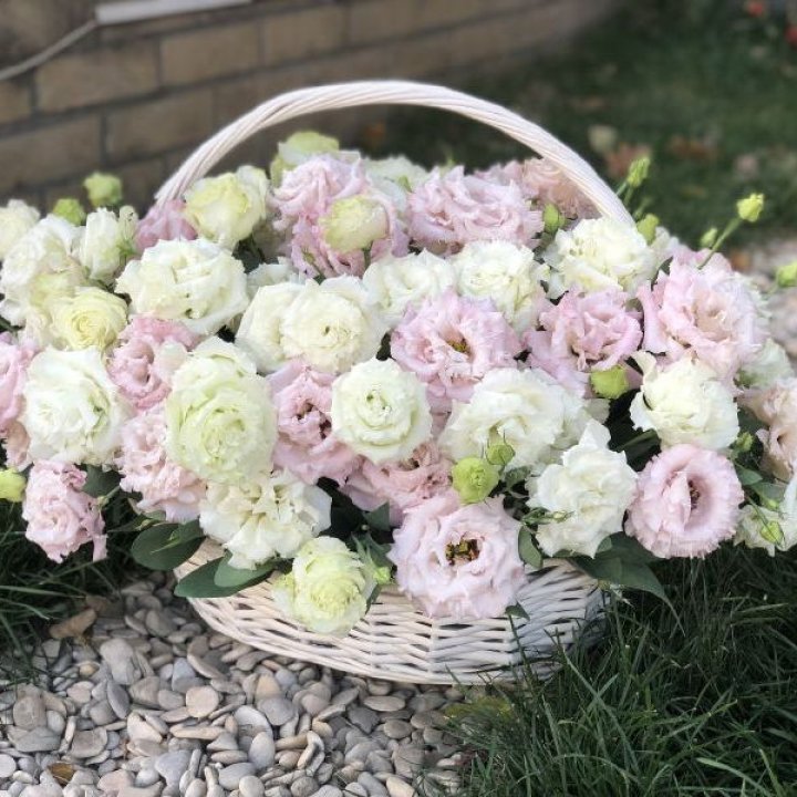 Корзина с эустомой в Братске