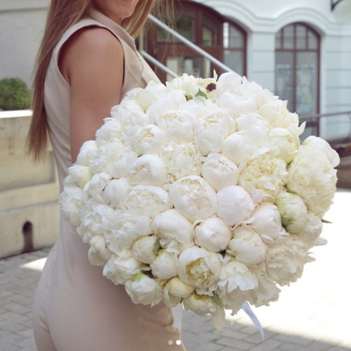 51 белый пион в Братске