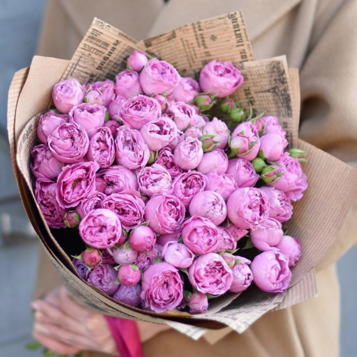 Роза Мисти Баблс в Братске