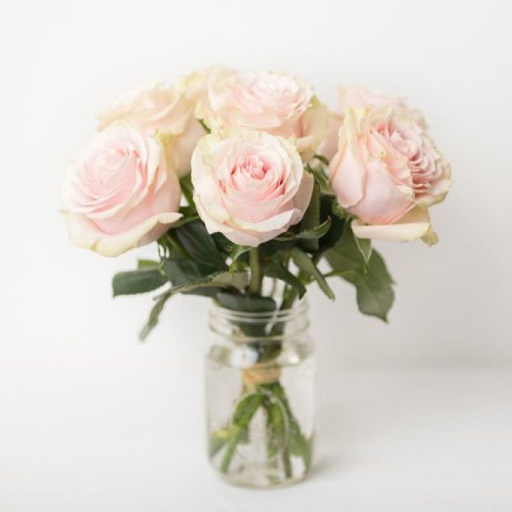 7 кремовых роз в Братске